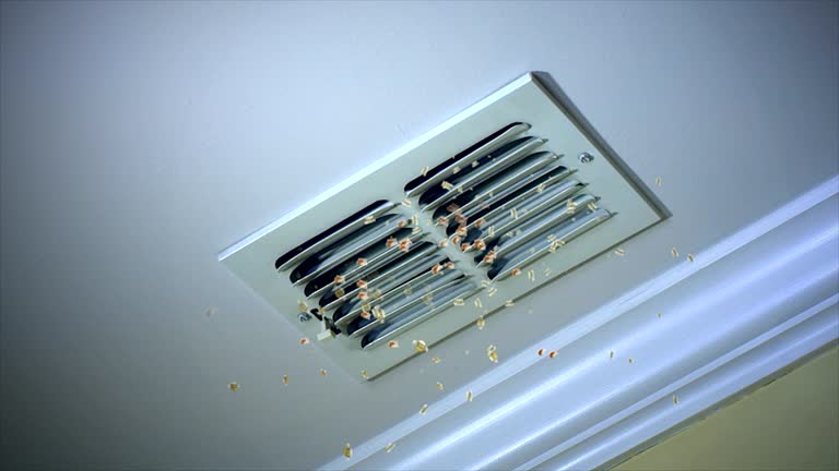 Best Professional Duct Cleaning Services  in West Belmar, NJ