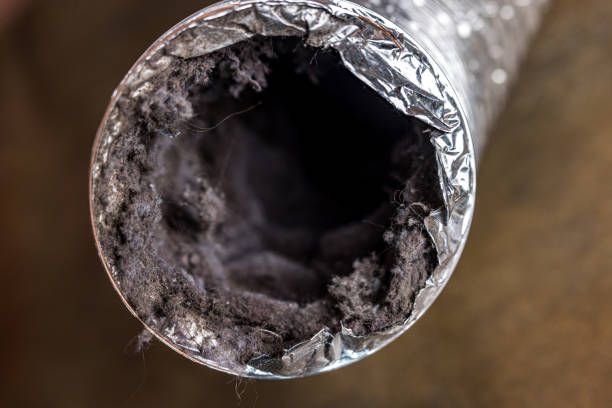 Best HVAC Maintenance and Cleaning  in West Belmar, NJ