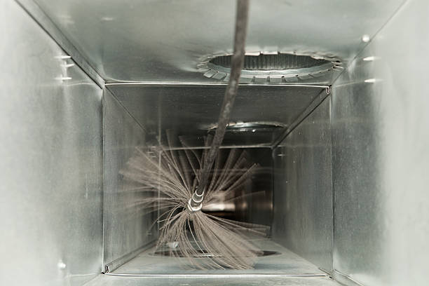 Best Air Duct Mold Removal  in West Belmar, NJ